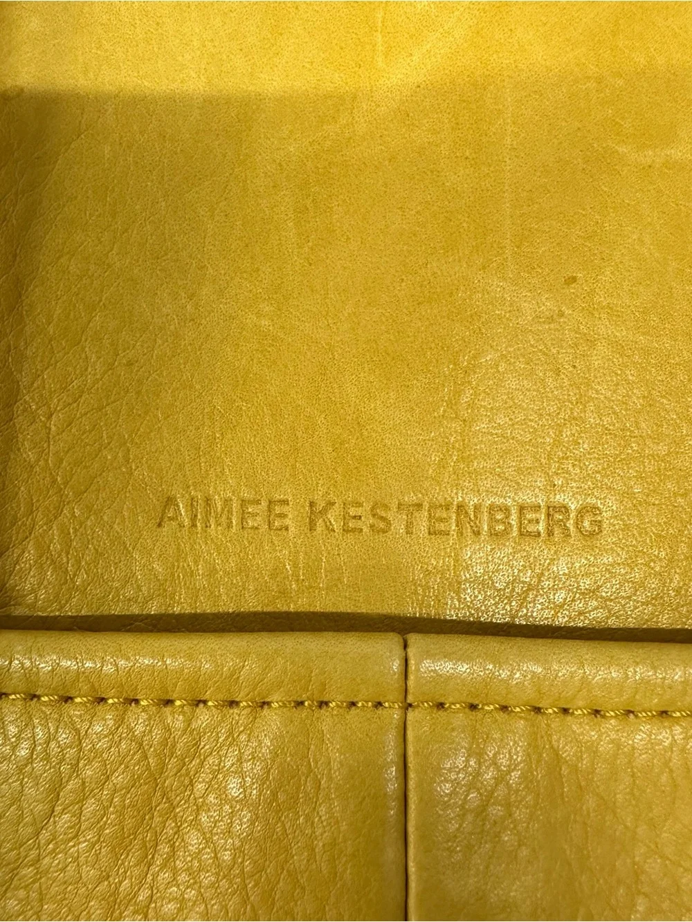 Aimee Kestenberg Mustard Yellow Leather Backpack with Front Zip